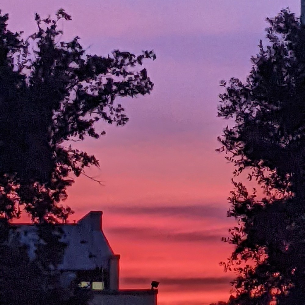 Meet your Posher, Jacqueline